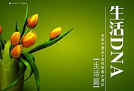 畫冊(cè)雜志封面圖片