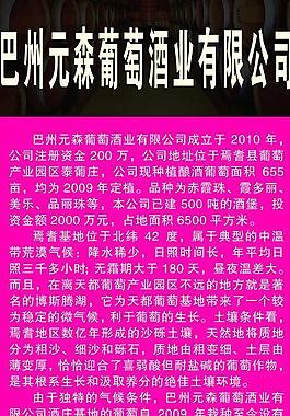 紅酒展架圖片