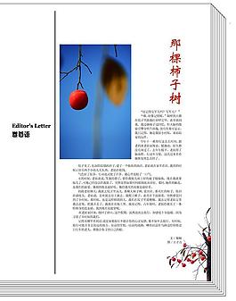 卷首語 那棵柿子樹圖片