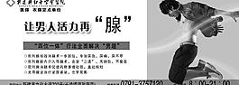 前列腺圖片