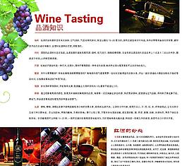 品酒知識單頁圖片