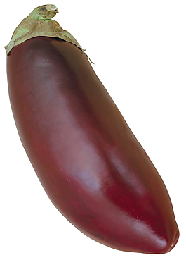 一個(gè)茄子
