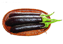 籃子里的蔬菜