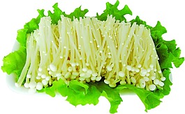 面條設(shè)計(jì)素材