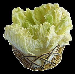 娃娃菜圖片