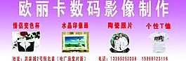 歐麗卡圖片