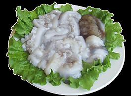 大八帶 大章魚 章魚圖片