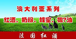 澳大利亚袋鼠图片