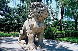 石獅51圖片