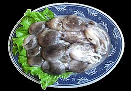 八帶 章魚圖片