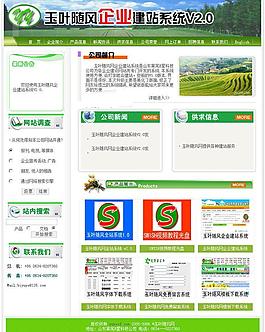 玉葉隨風網企業建站圖片