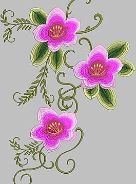 粉色枕花圖片