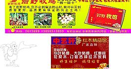 報紙版面圖片