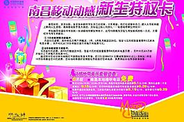新生特權卡圖片