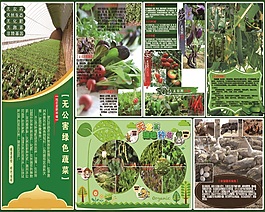 無公害蔬菜簡介
