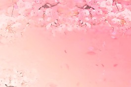 背景素材