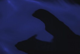 宣傳片片頭