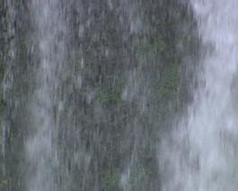 視頻背景素材下載