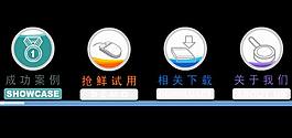 精美flash圆形导航