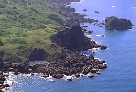 椰子