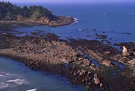 海洋
