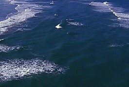 海灘