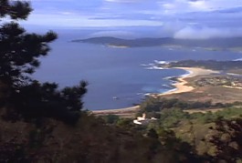 碼頭