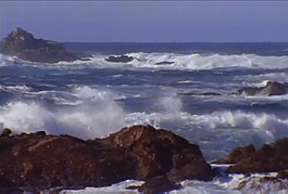 大海