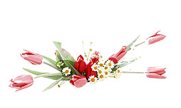 紅色的花