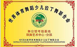 世界体育舞蹈少儿拉丁舞联合会图片