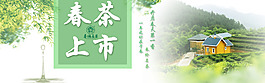 春茶上市