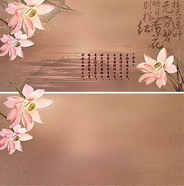 古典荷花意境