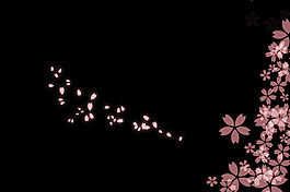 櫻花花瓣源文件