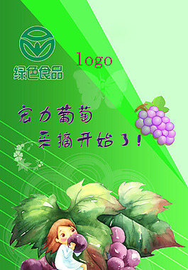 宏力葡萄采摘開始了