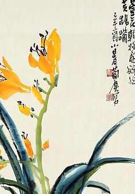 萱花圖片