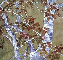楊花依依圖片
