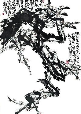 老梅新枝圖片