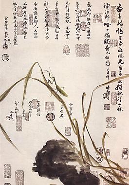 秋蟲圖片