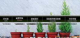 跳球?qū)Ш剿夭?/>
                            </a>
                            <div   id=