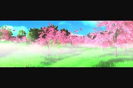桃花背景視頻素材素材下載