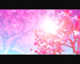 桃花盛开背景视频