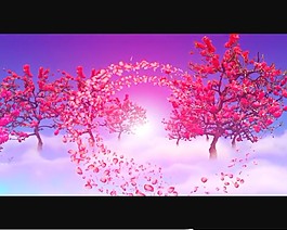 花朵视频素材