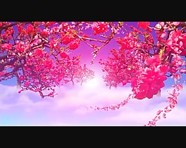 桃花绽放背景视频素材