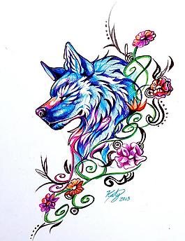 狼花草插畫圖片