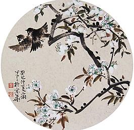 比翼雙飛圖片