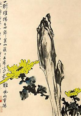 菊石圖圖片