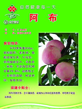宏力掛墻