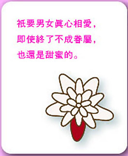 矢量愛情素材