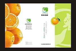 封皮