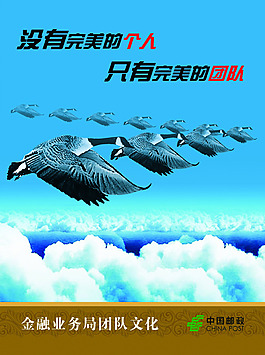 團隊